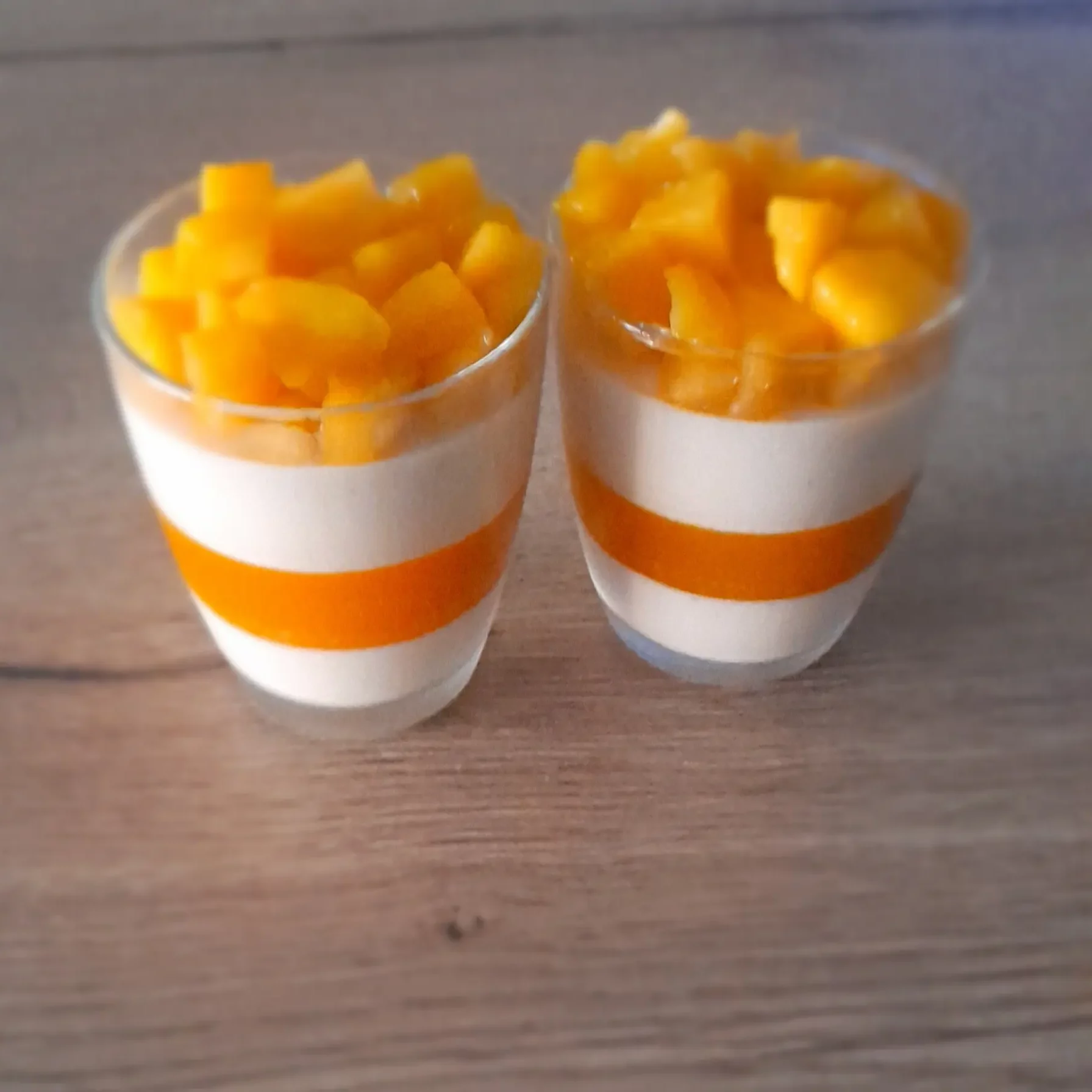 Panna cotta, coulis exotique, mangue
